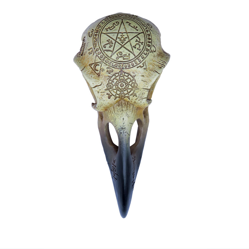 Alchemy - OMEGA RAVEN SKULL Figurine - Crème